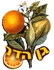 כל מה שרציתם לדעת על גן הדר