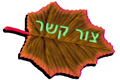 לשליחת דו"אל לחץ כאן