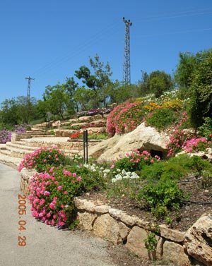 לאתר הגן הבוטני בירושלים לחץ כאן