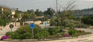 לחץ להגדלה