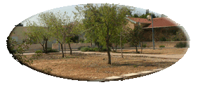 פיתוח הגינון ברחבי ההרחבה 