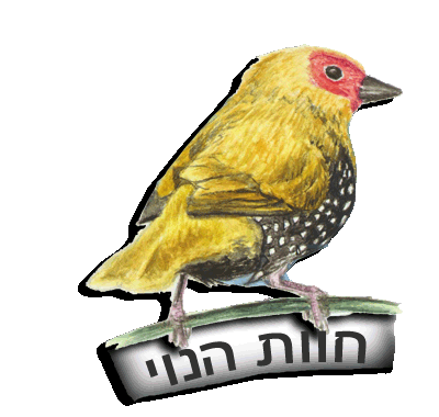 לחץ לתמונות מחוות הנוי